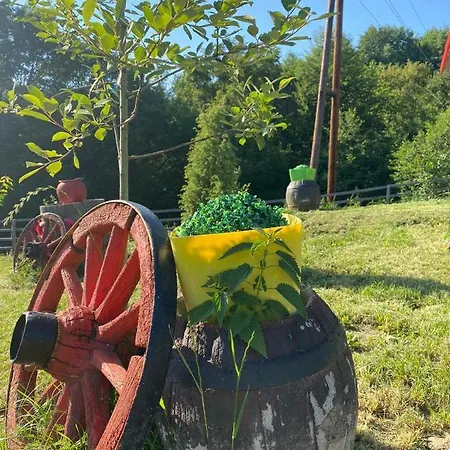 Ferienhaus Etno Selo Rakovic Ivanjica