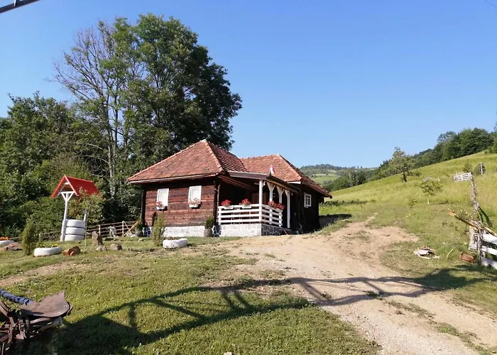 Etno Selo Rakovic 度假居 伊万尼察