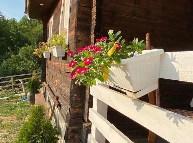 Etno Selo Rakovic 伊万尼察