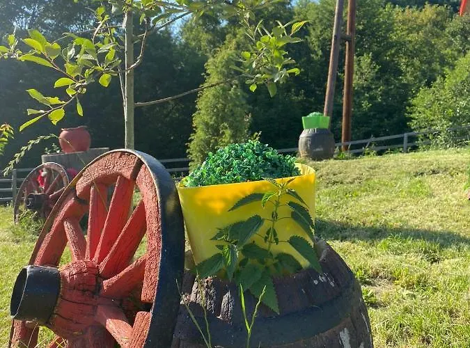 度假居 Etno Selo Rakovic 伊万尼察