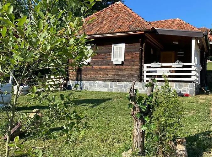 度假居 Etno Selo Rakovic 伊万尼察